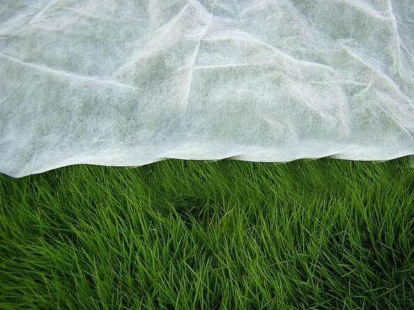 �r�I(y��)�ü�ճ�o����