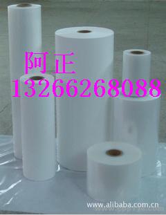 ��Ĥ���ĸ��