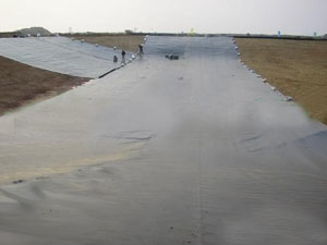 ������������B������/���I(y��)/Σ�UƷ��