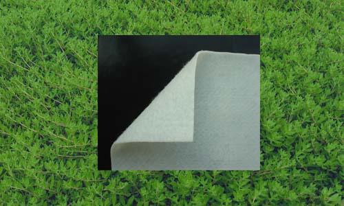 8m��������������������Ĥ����