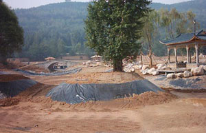 ����(y��ng)���^�˹������B����Ĥ