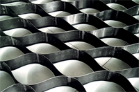 �ߏ�(qi��ng)���ҳ����������������N��