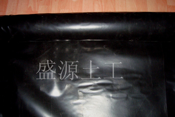 ����A�͸��g���B����������Ĥ