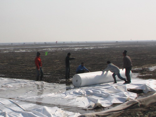 ����(y��ng)β�V̎�����̲���������