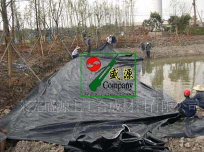 ʢԴ������ˮ������������Ĥ