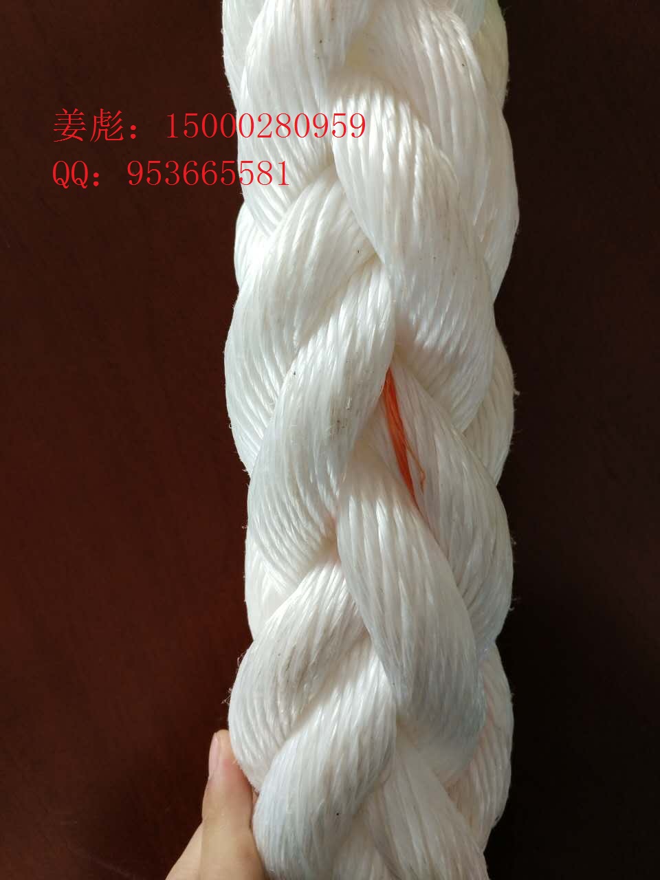 ����(y��ng)�ߏ��ȱ��]�|�K���ߏ�PP�|�K