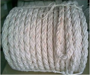 ���]�L�z�K�����]�L�z�˹��K