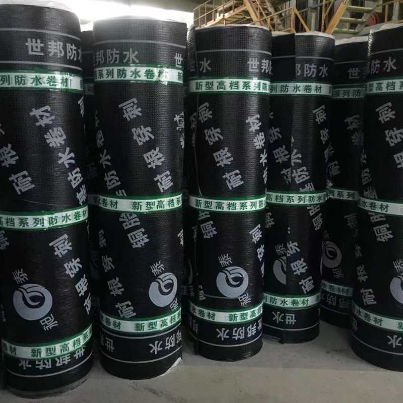 ����NSBS���Ԟr���ˮ����