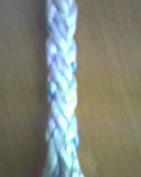 ����(y��ng)�쾎�K�����۱�ϩ�|�K