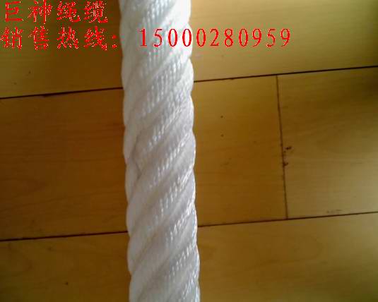 �������������ɏͺ��K��ATLAS�K