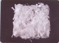 �����w�S