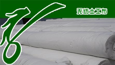 ����(y��ng)������ �o(w��)�� �����L(zh��ng)�z������