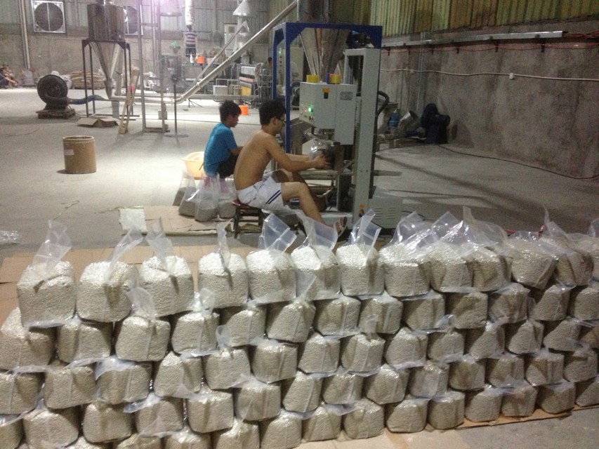 ����ĸ��