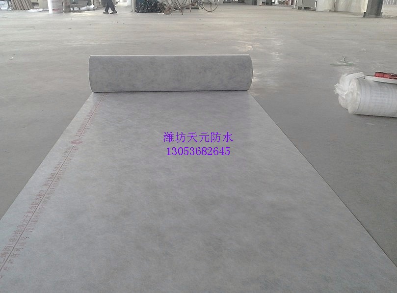 �߷��ӷ�ˮ����ʩ��ע�����(xi��ng)