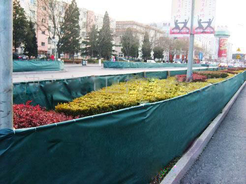 ����(y��ng)�G���o(w��)����