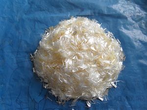 �۱�ϩ���w�S