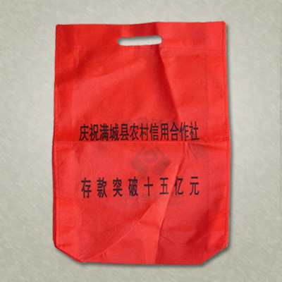 ���ݟo������