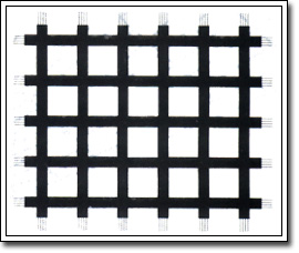 �p���������