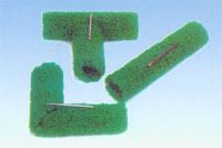 ����ä�ϣ������W���W�|��