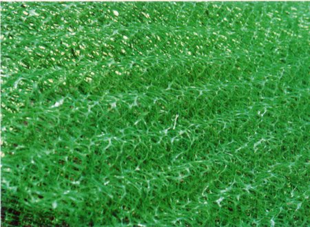 ���S�����W�|