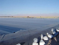 ����Ĥ����(y��ng)  �r�񌍻�