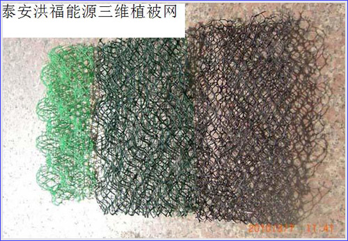 ���Sֲ���W(w��ng)