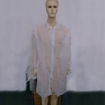 �o�������