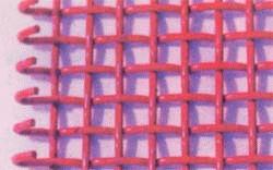 ���^�ͺY�W