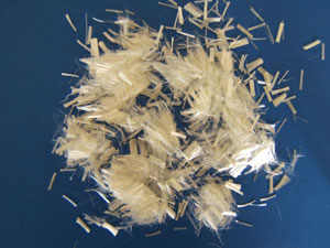 �۱�ϩ���w�S