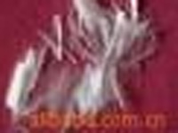 �����w�S