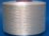 �����w�S