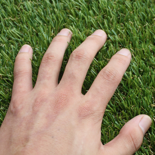 �̴�z��_(t��i)���^�����ƺ