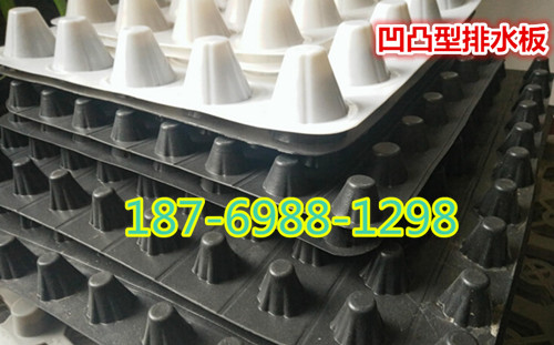 ��������40�������픰���ˮ�壬����ϩ������