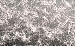 �����w�S