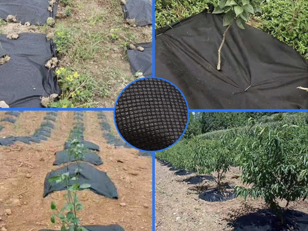 ���s�ݟo����