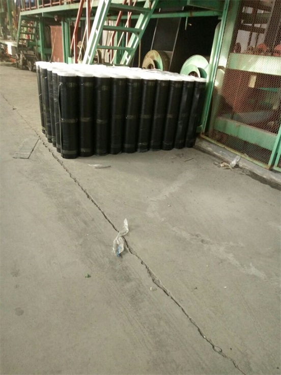 ��ˮ���͵������ˮ����SBS��ˮ����