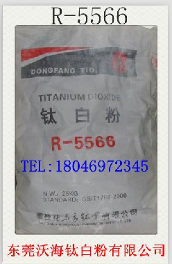 ��֦��⁰׷�R-5566