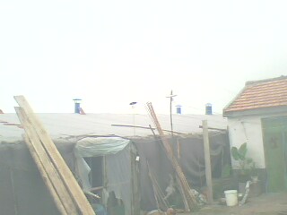 �B(y��ng)ֳ����ë��