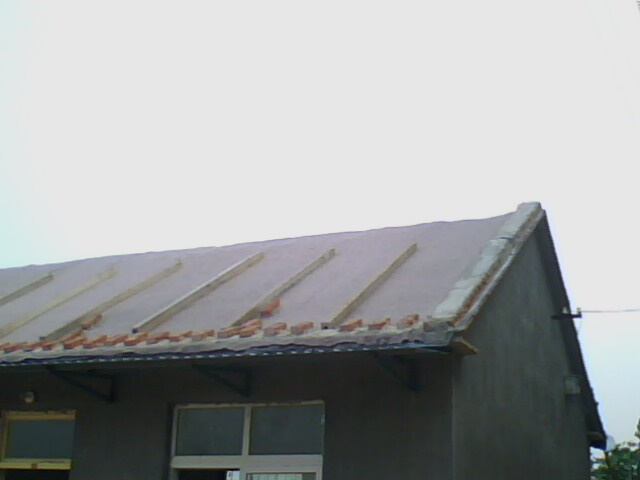 �������Ҵ���ݺ��������ë��