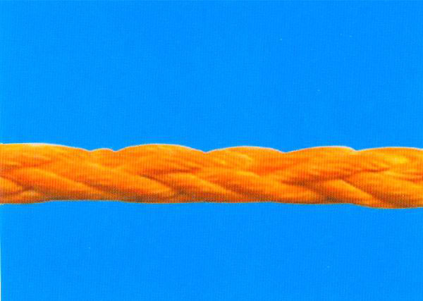 ����(y��ng)�߷��Ӿ���ϩ�K���������飩