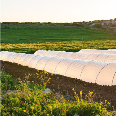 ���(zhu��n)��PP...