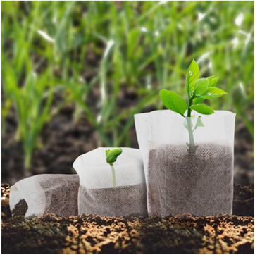 �������(zhu��n)��P...