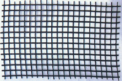 �����w�S�������