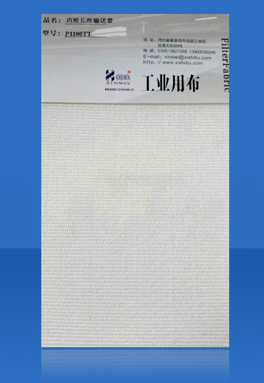 ���]ݔ�͎���P1100TT��