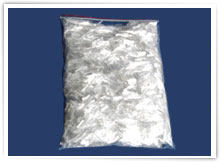 ɰ�{�����w�S