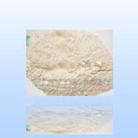 ��(y��u)�|(zh��)ľ�|(zh��)��