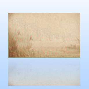 ��(y��u)�|(zh��)ľ��