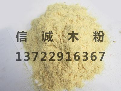 ����(y��ng)��(y��u)�|(zh��)�켈��