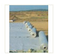 ��(f��)������Ĥ