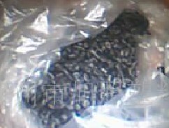 �ڱ��]����